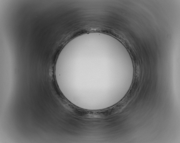 X0000116390545200912021008