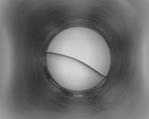 X0000116390547200912021008