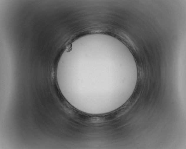 X0000116390549200912021008