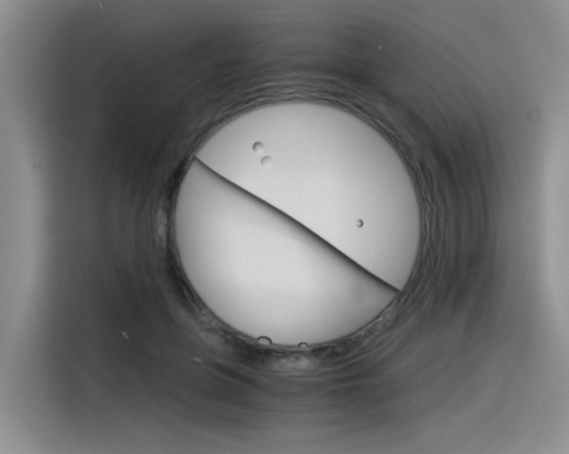 X0000116390551200912021008