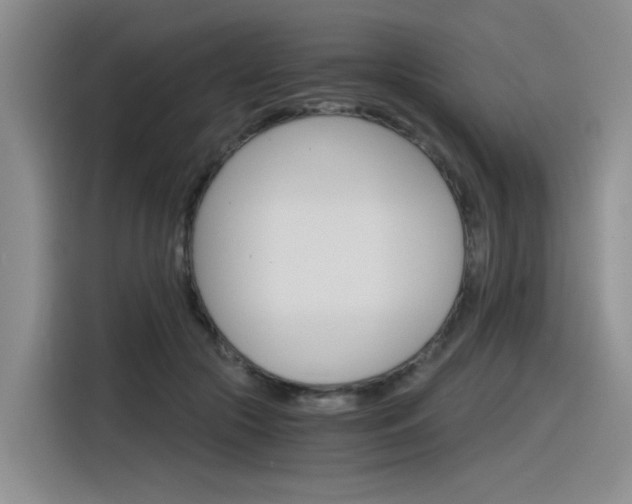 X0000116390553200912021008