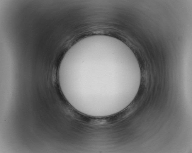 X0000116390554200912021008