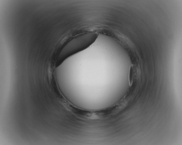 X0000116390558200912021008