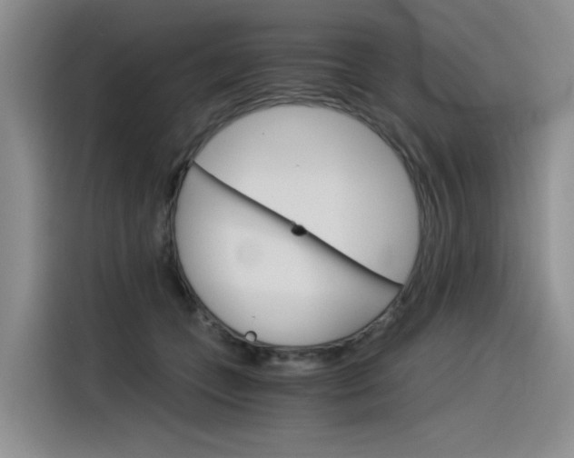 X0000116390559200912021008