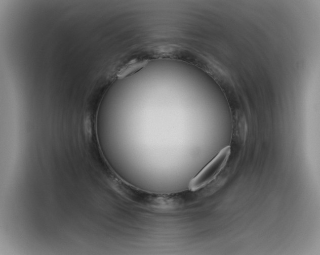X0000116390562200912021008