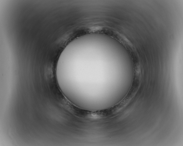 X0000116390565200912021008