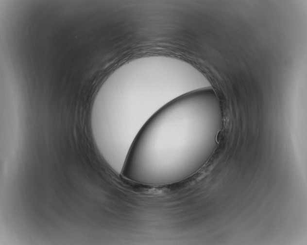 X0000116390566200912021008