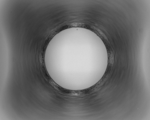 X0000116390569200912021008