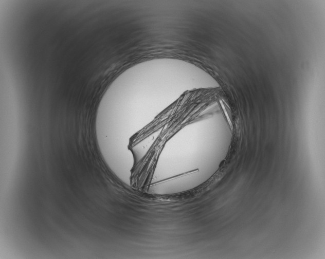 X0000116390570200912021008