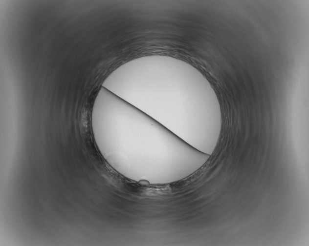 X0000116390571200912021008