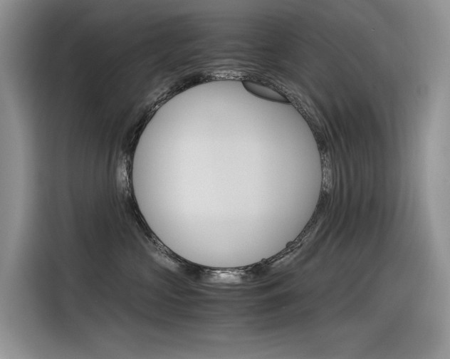 X0000116390573200912021008