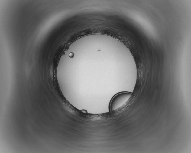 X0000116390574200912021008