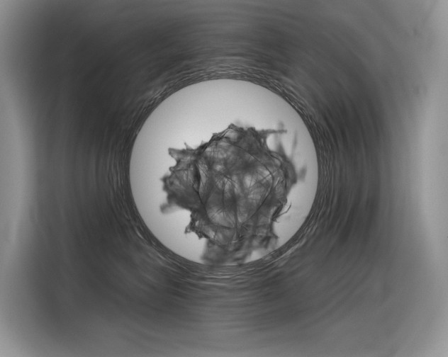 X0000116390575200912021008