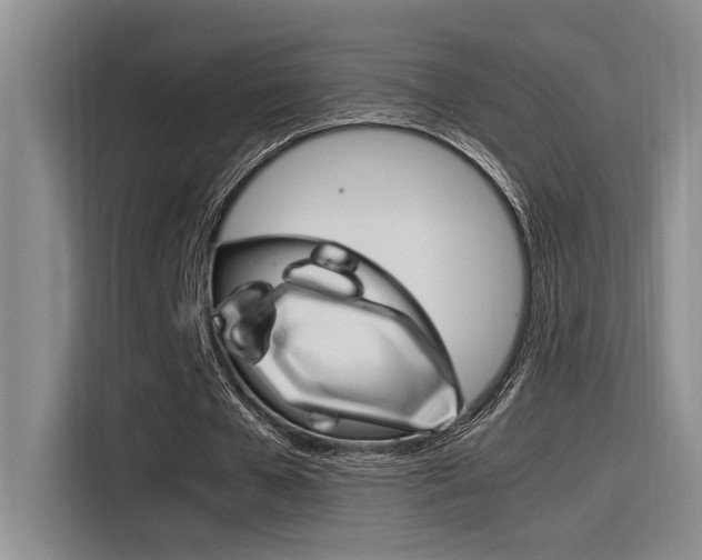 X0000116390577200912021008