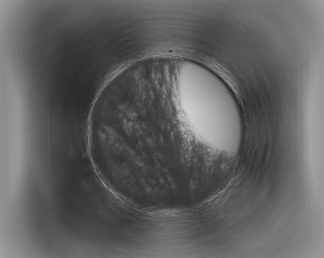 X0000116390578200912021008