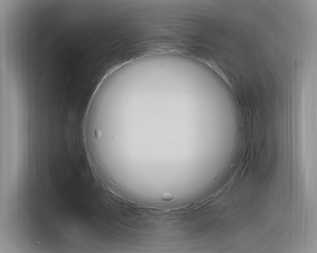 X0000116390579200912021008