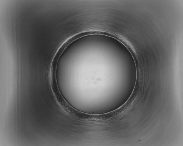 X0000116390580200912021008