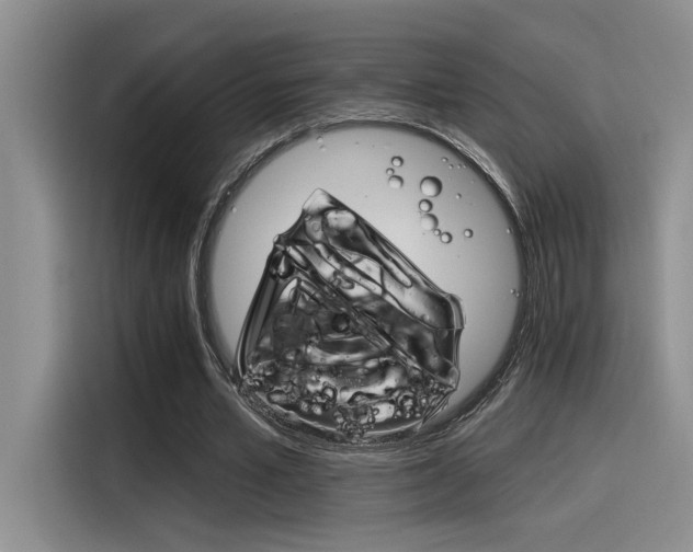 X0000116390581200912021008