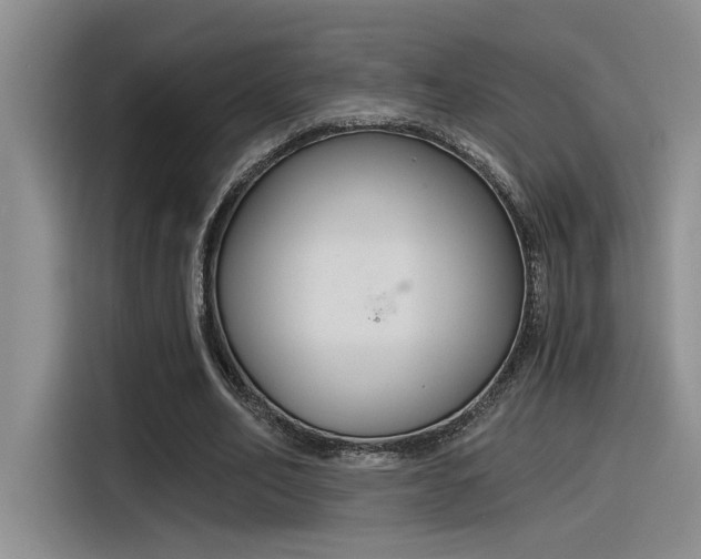 X0000116390582200912021008