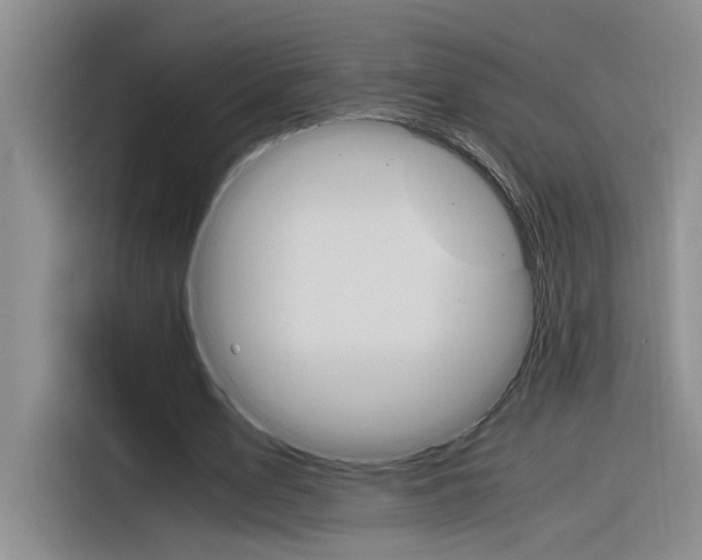 X0000116390583200912021008