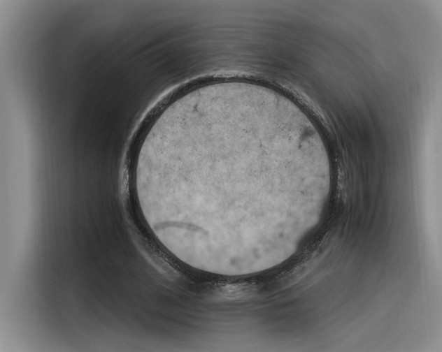 X0000116390584200912021008
