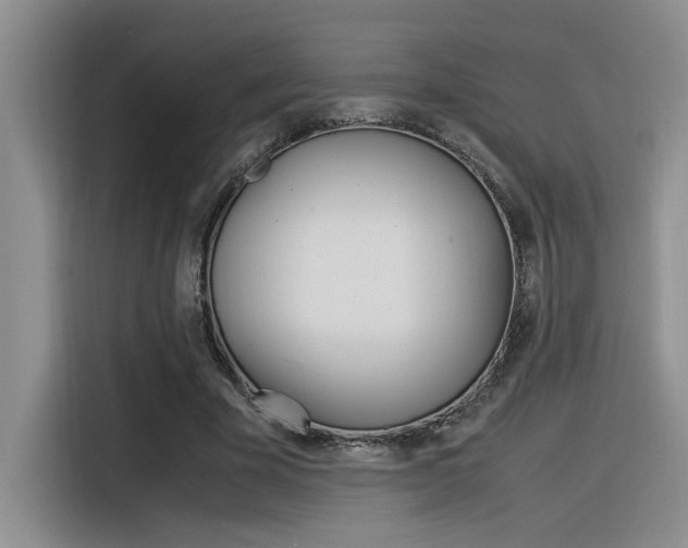 X0000116390585200912021008