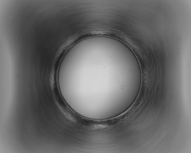 X0000116390586200912021008