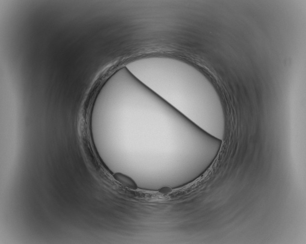 X0000116390587200912021008