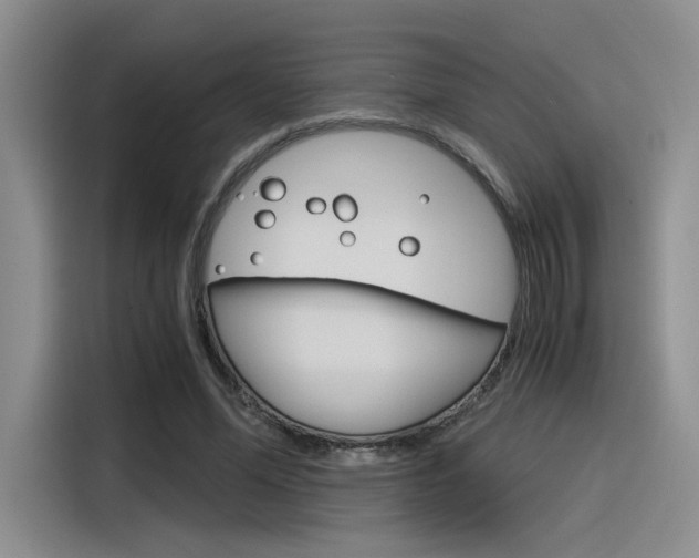 X0000116390588200912021007