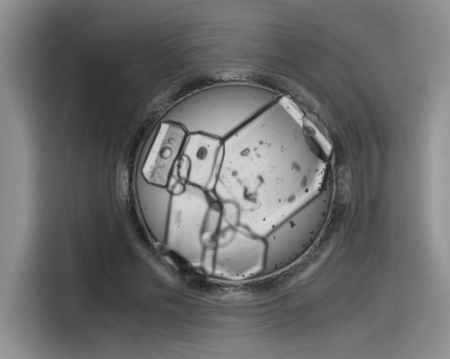 X0000116390589200912021007