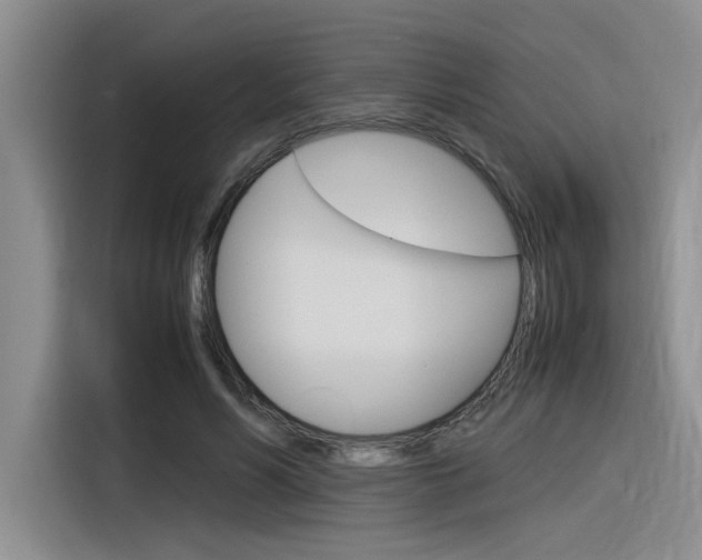 X0000116390590200912021007