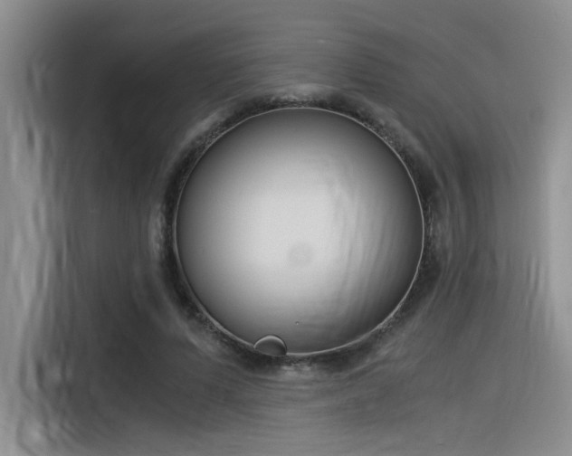 X0000116390591200912021007