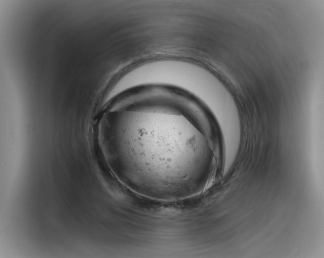 X0000116390592200912021007
