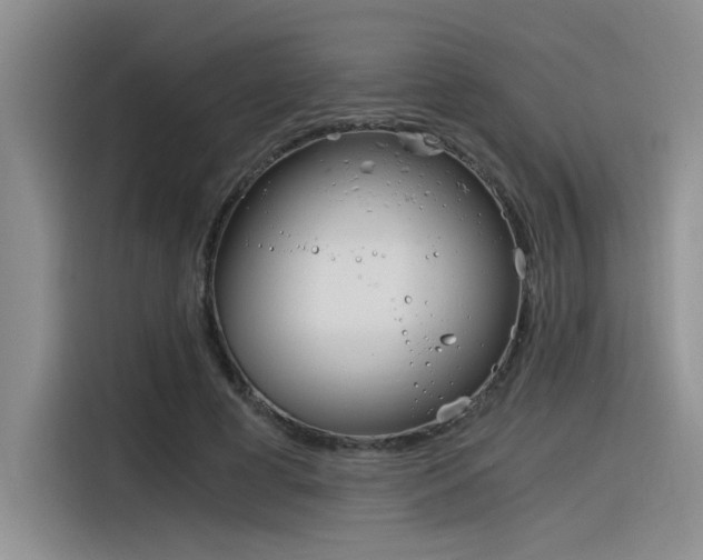 X0000116390593200912021007