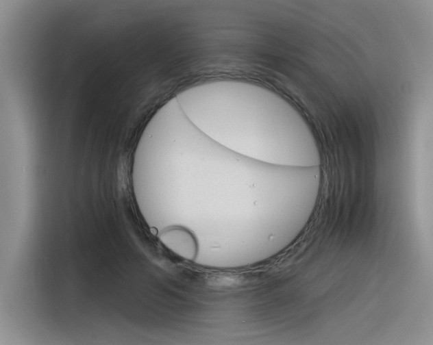X0000116390594200912021007