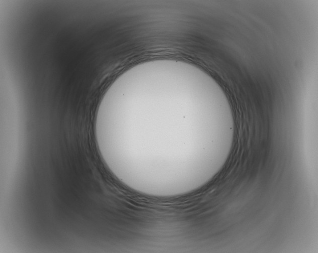 X0000116390595200912021007