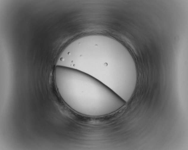 X0000116390596200912021007