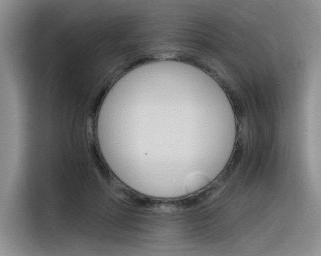 X0000116390598200912021007