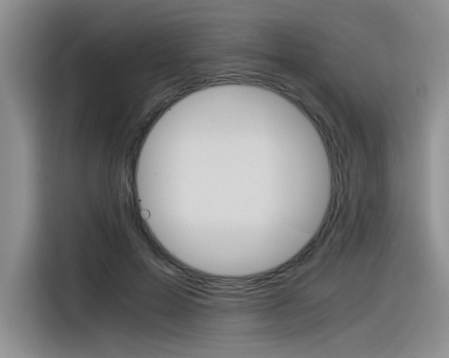X0000116390599200912021007