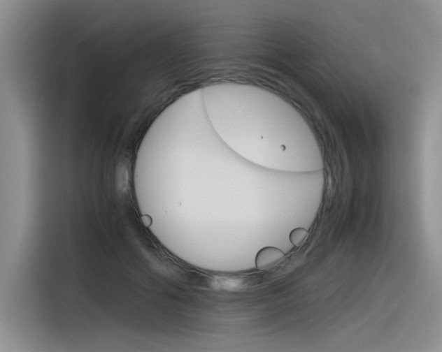 X0000116390602200912021007