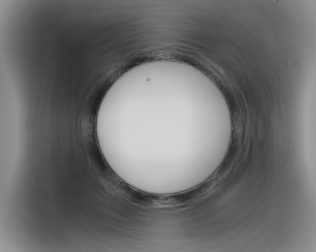 X0000116390603200912021007