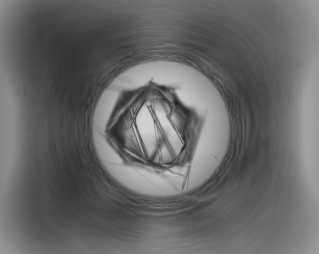 X0000116390605200912021007