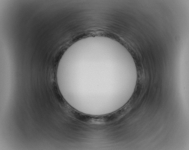 X0000116390606200912021007
