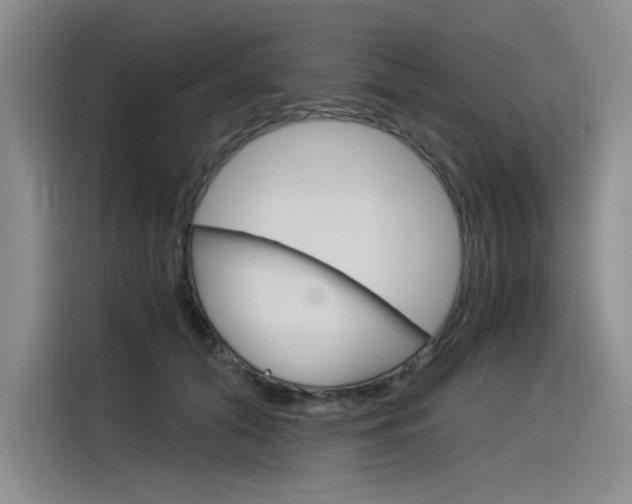X0000116390608200912021007