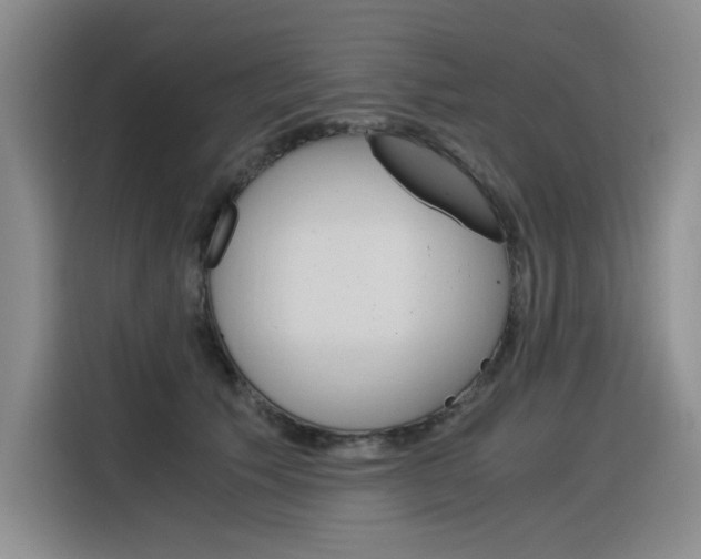 X0000116390609200912021007