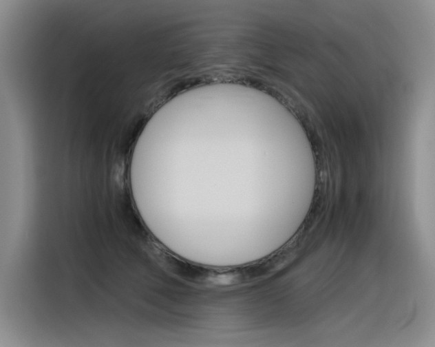 X0000116390610200912021007