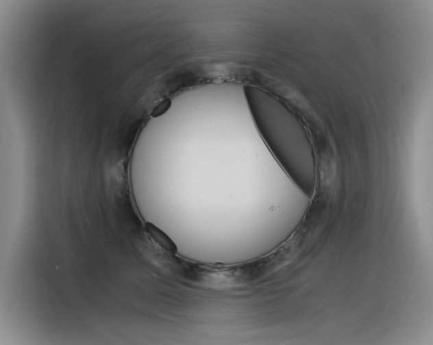 X0000116390611200912021007