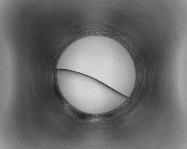 X0000116390612200912021007