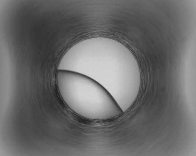 X0000116390613200912021007