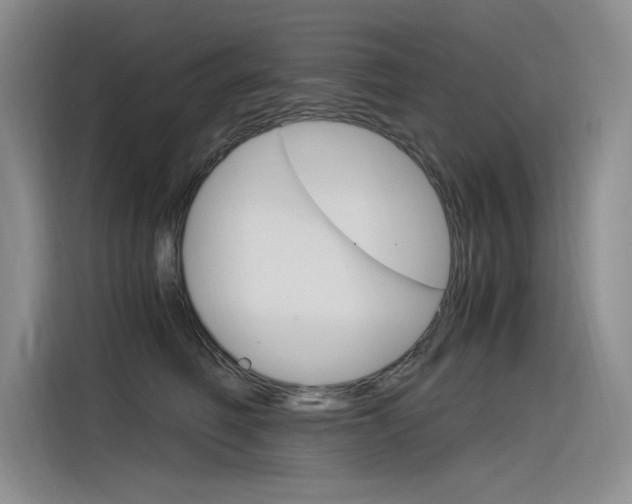 X0000116390614200912021007